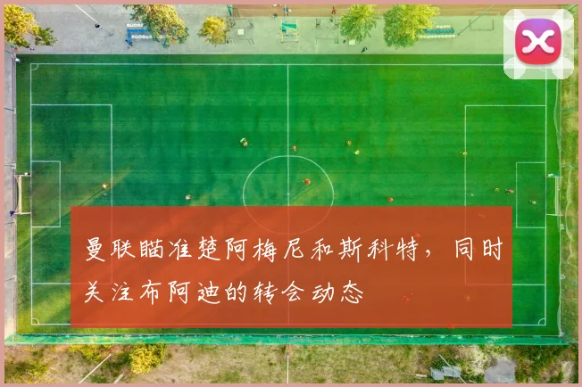 曼联瞄准楚阿梅尼和斯科特，同时关注布阿迪的转会动态